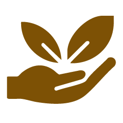 Transforming your home with top-notch craftsmanship.